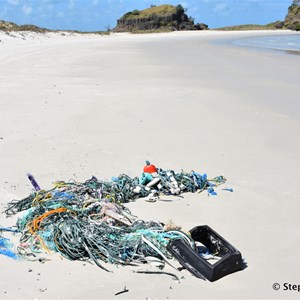 Debris washed up on the pristine beach