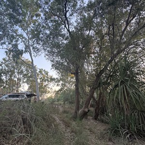 Ryan's Bend (Batton Creek)
