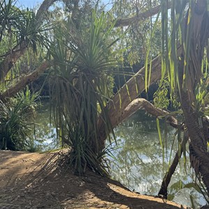 Ryan's Bend (Batton Creek)