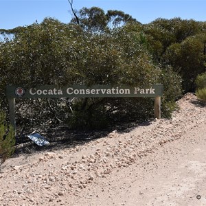 Cocata Conservation Park Boundary Sign 