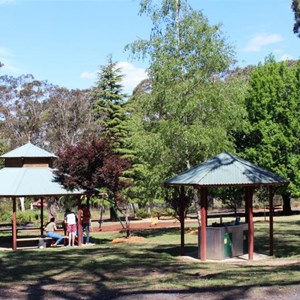 The picnic area