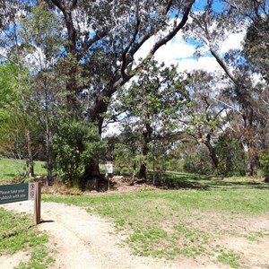 The picnic area adjacent to the car park