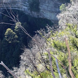 Katoomba falls are just out of sight at the bottom of the photo