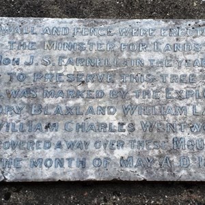 The original plaque at the base of the tree