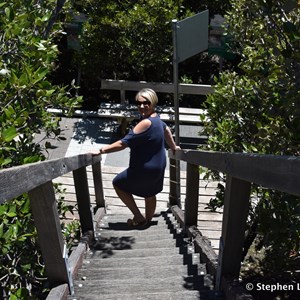 St Kilda Mangrove Trail and Interpretive Centre - Lookout
