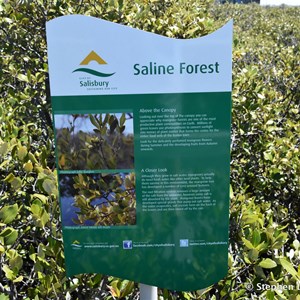 St Kilda Mangrove Trail and Interpretive Centre - Saline Forrest