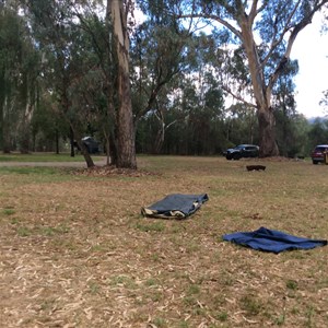 Gentle Annie Camping Reserve
