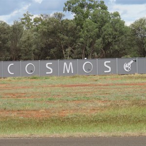 Cosmos across the road