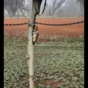 Munbililla (Tomato Island) Camp