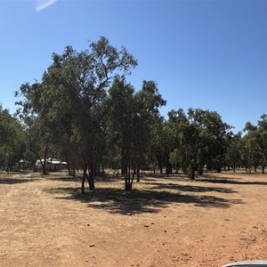 Munbililla (Tomato Island) Camp