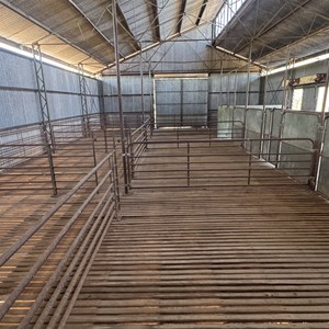 Bladensburg Shearing Shed