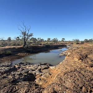 Scrammy Water Hole