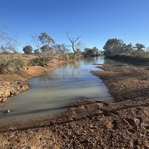 Scrammy Water Hole