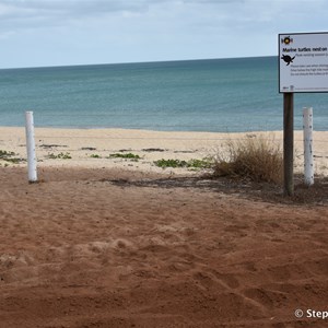 Muttee Head Turtle Nesting Beach