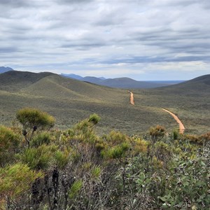 Central Lookout