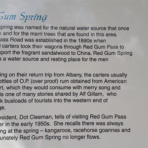 Red Gum Springs