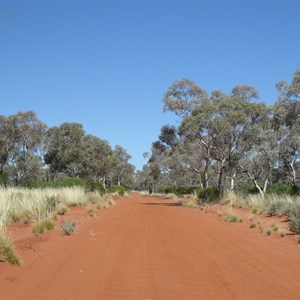 8.Nice and wide among the gums