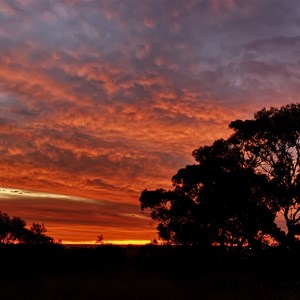 Tenindewa Pioneer Well