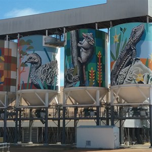 Newdegate Painted Silo 