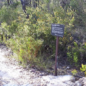 Marked sign at faint track into site