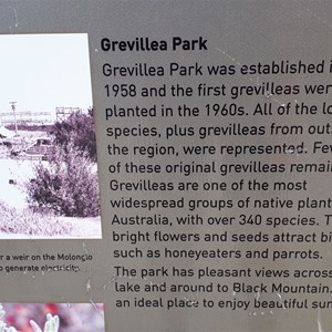 Signboard at Grevillia Park