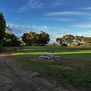 Tarlee Oval