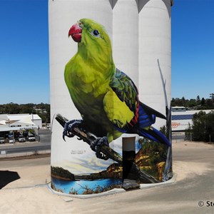 Waikerie Silo Art from the air