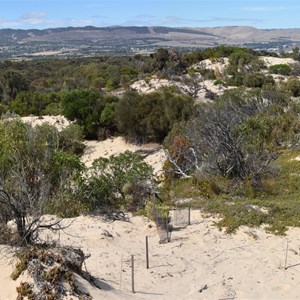 Aldinga Scrub Conservation Park Lookout 