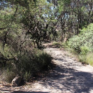 Along the path to the lookout