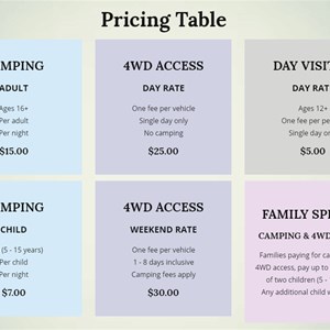 Pricing table from website April 2019