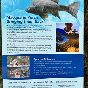 Gundowering Free Camp