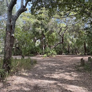Wreck Rock Camping Area