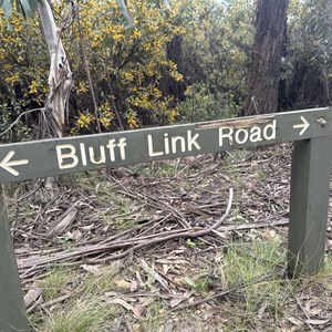 VIC 16 Mile Rd (Bluff Hut Access)