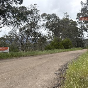 Turn Left/Straight - Bluff Link Rd