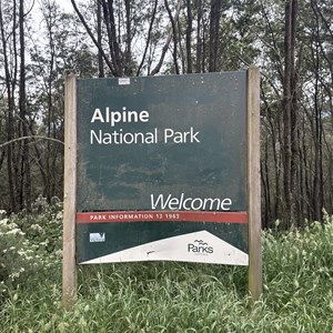 Turn Left/Straight - Bluff Link Rd