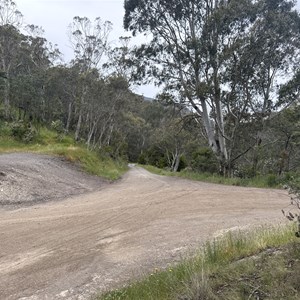 Turn Left/Straight - Bluff Link Rd