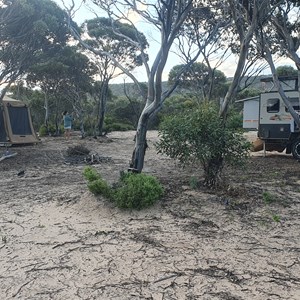 Bilbunya Dunes  View  Campsite