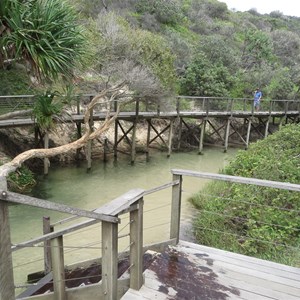 Boardwalk along the creek