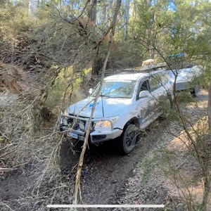 Murray River Crossing