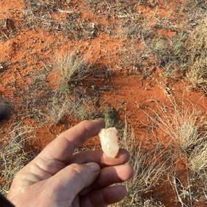 Aboriginal Tool Remains