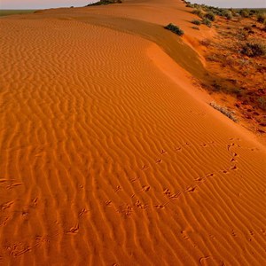Windorah Sand Hills