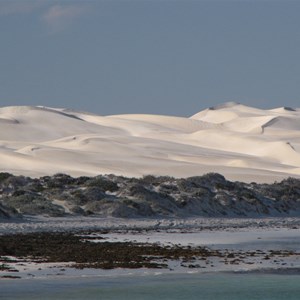 Dunes behind Scott Beach