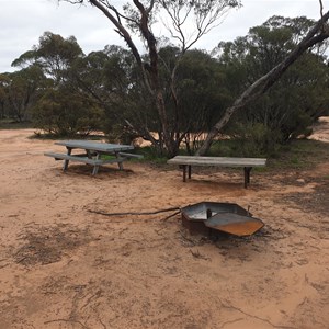 Fire pits and picnic table facilities