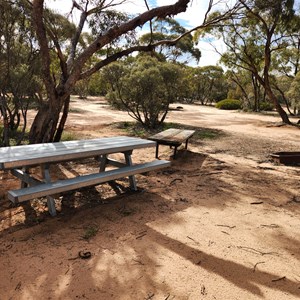 Round Swamp Camp Area