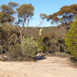 Milmed Rock Track and Look out dune intersection - looking towards the dune climb