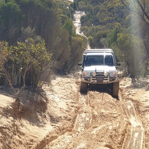 The lookout dune track