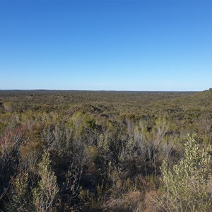 View south from the top of the Milmed track lookout dune.