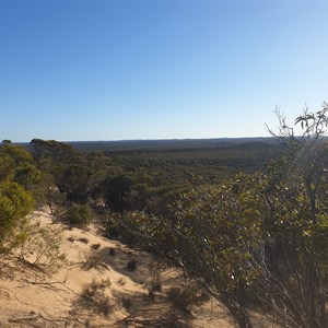 View north westfrom the top of the Milmed track lookout dune.