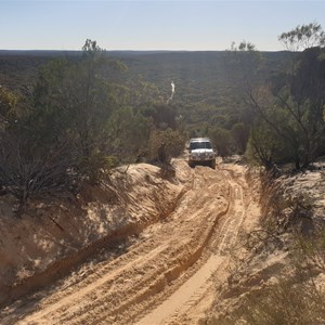 Track to the top of the Milmed track lookout dune.