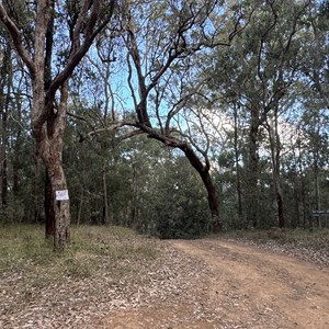 Razorback Camping Area